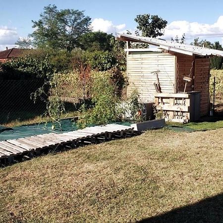Maison Familiale - Menage, Serviettes, Draps Inclus Gaillac Bagian luar foto
